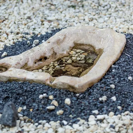 ゲストハウス Gli Ulivi Dell'etna Linera