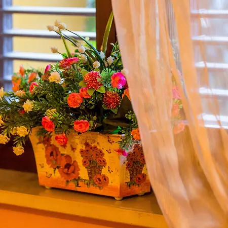 Gli Ulivi Dell'etna 3*