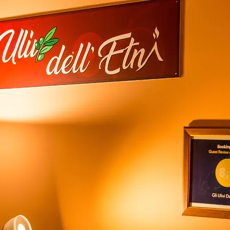 Gli Ulivi Dell'etna Pensjonat Linera
