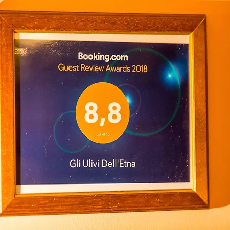 Gli Ulivi Dell'etna Linera