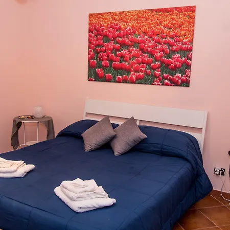 Gli Ulivi Dell'etna Linera