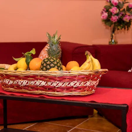 Gli Ulivi Dell'etna Linera