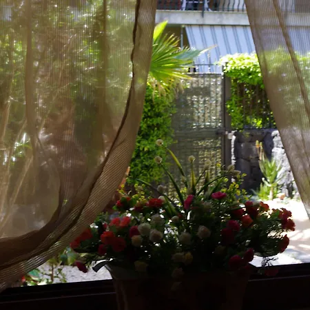 Gli Ulivi Dell'etna Linera