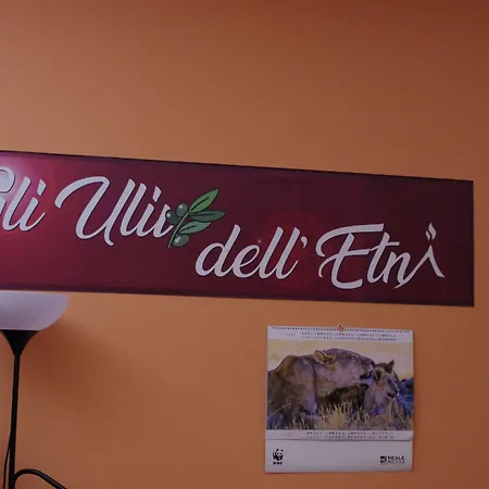 Gli Ulivi Dell'etna 3* Linera