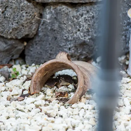 Gli Ulivi Dell'etna Linera