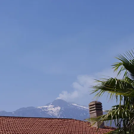 Gli Ulivi Dell'etna