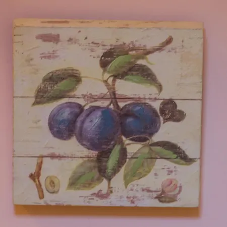 Πανσιόν Gli Ulivi Dell'etna